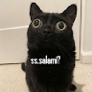 Meet your Posher, Anam